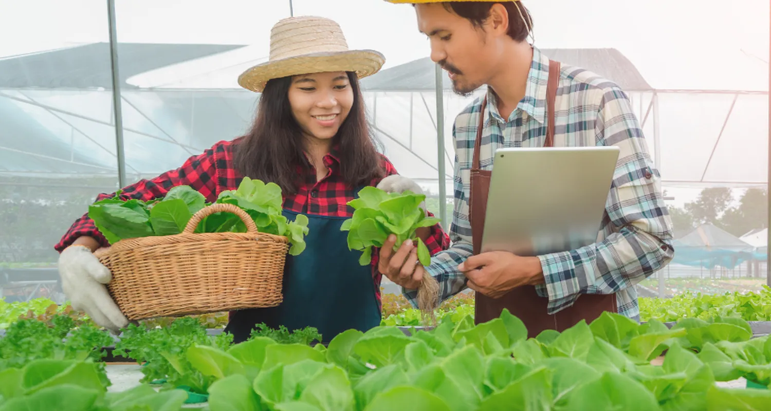 A company that sows the seed of teamwork in every employee